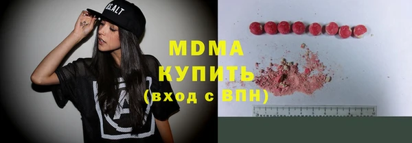 мдпв Бородино