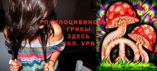 ПСИЛОЦИБИНОВЫЕ ГРИБЫ Володарск