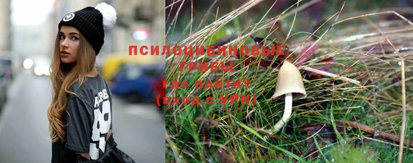 прущая мука Тихвин
