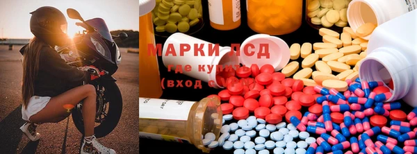 ПСИЛОЦИБИНОВЫЕ ГРИБЫ Володарск